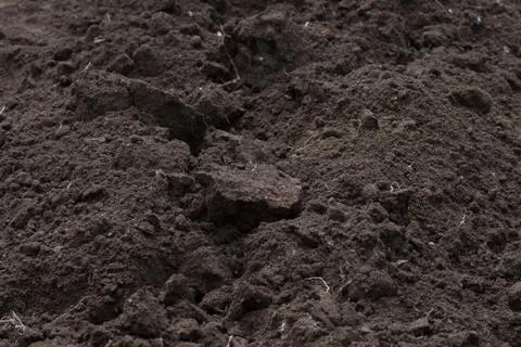 Soft soil Stock Photos