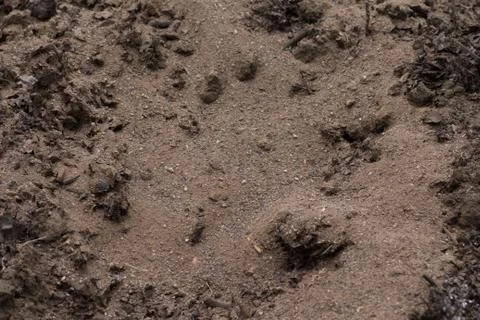 Soft soil Stock Photos
