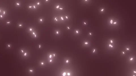 Soft Sparkling Pink Petals Falling Slowly - 4K 24fps Black Background Overlay 스톡 동영상 327711122