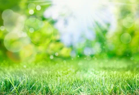 Soft spring background with bokeh Stock Photos