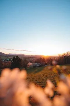 Soft spring blossoms frame a golden sunset over the Beskydy Mountains, Czechi Fotos Stock