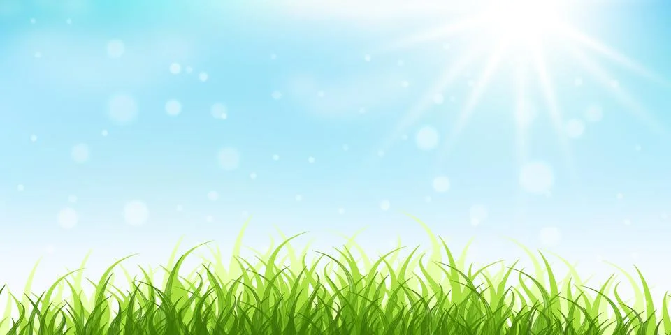 Soft spring grass with sunlight and clear blue sky creating fresh natural vie Stock Illustration