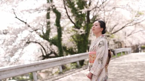 Soft spring light bathes a serene pathway Stock Footage 341529235