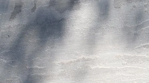 Soft Sun dapped shadow from eucalyptus tree waving on a grey patio Stock Footage 155919763