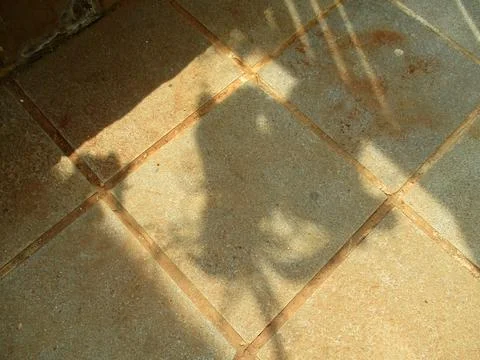 Soft sunlight casts a persons shadow on tan tiled floor, with diagonal wind.. Stock Photos