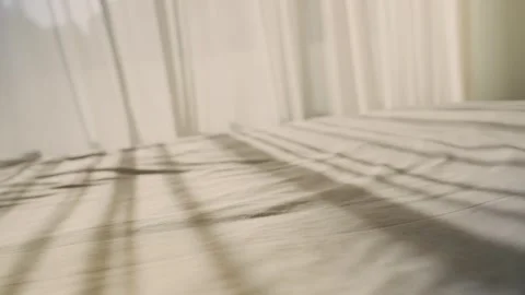 Soft sunlight casts striped shadows across a bed 動画素材 338098021