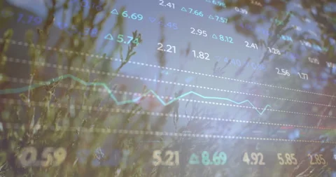 Soft sunlight filtering through grasses starting data overlay fading and cycling Stock Footage 311678741