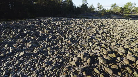 Soft sunlight filtering through trees revealing expansive moraine field, hi.. Stock Footage 300798075