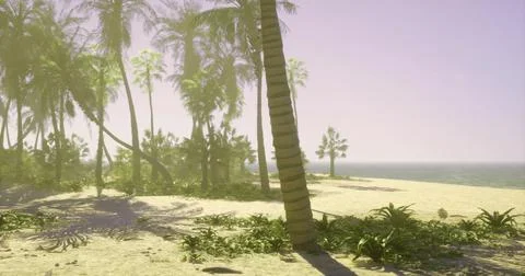 Soft sunlight filters through palm trees on a serene beach Ilustración de archivo