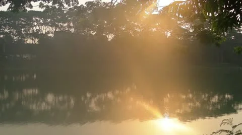 Soft Sunlight Stock Footage 11095535