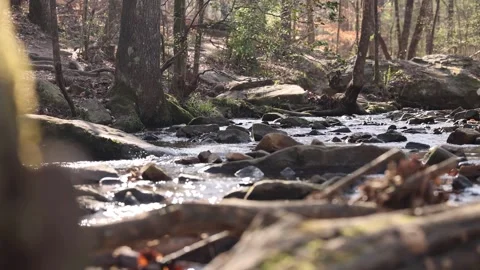 Soft Sunlight Glistens On Slow Motion View of River Flowing Over Rocks Vídeo Stock 315225345