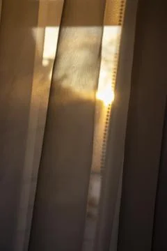Soft sunlight streaming through sheer curtains creating a warm, inviting Stock Photos