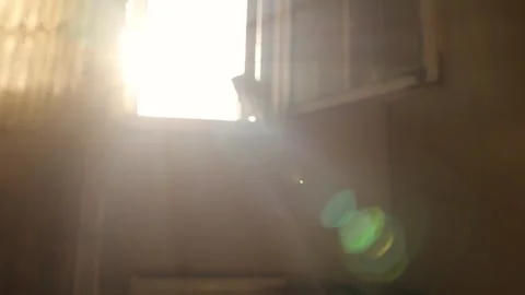 Soft sunlight through open window inside calm room creating warm lens flare Video stock 331621647