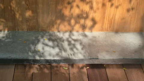 Soft sunlight tree natural shadow cast on architecture textures wood concre.. Видео 324856048