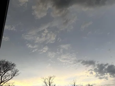 Soft Sunset Clouds Above Bare Tree Line 写真素材