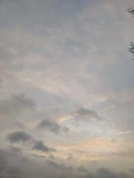 Soft Sunset Light in Overcast Winter Sky with Bare Branches Stock Photos