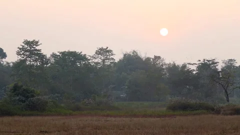 Soft sunset over rural field and forest landscape Stock Footage 326987784