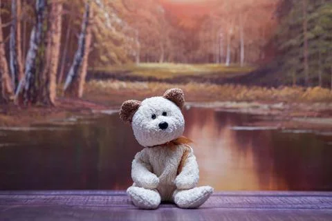 Soft teddy bear sits by calm lake Stock-Fotos