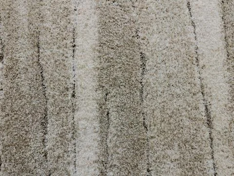 Soft-textured Beige Carpet with Subtle Stripe Patterns Stock Photos