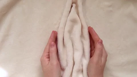 Soft tissue folds in the shape of the labia, vagina and vulva. The concept of wo Stock Footage 286208848