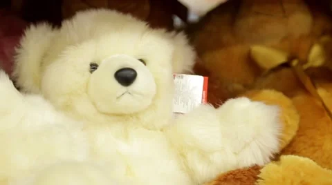 Soft toy bear on the counter in the store Stock-Footage 60120835