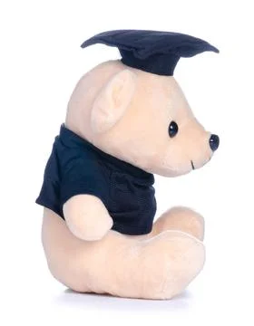 Soft toy bear graduation Stock Photos