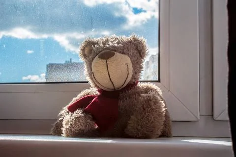 Soft Toy Bear Stock Photos