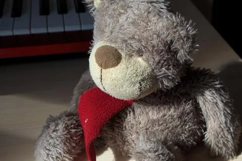 Soft Toy Bear Stock Photos