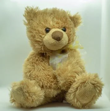 Soft toy bear on a white background Foto stock