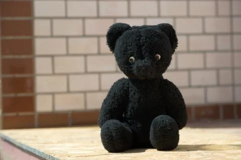 Soft toy of the black bear Foto stock