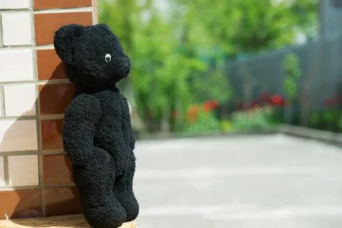 Soft toy of the black bear Stock Photos
