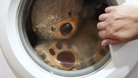 Soft toy brown bear is washable in the washing machine Stock Footage 199025224