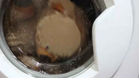 Soft toy brown bear is washable in the washing machine Stock Footage 199025225