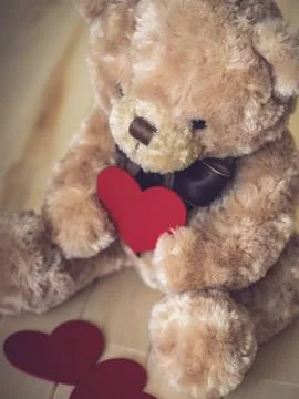 Soft toy on the floor 写真素材