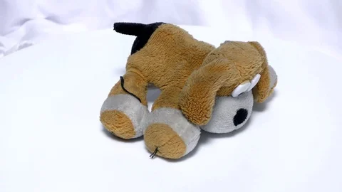Soft toy small dog rotating and moving on white Stock Footage 111887433