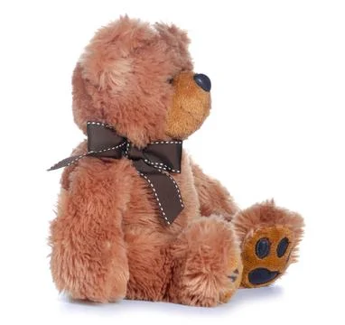 Soft toy teddy bear Stock Photos
