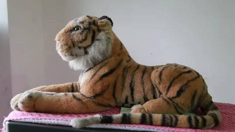 Soft toy tiger sitting on a surface. Stock Footage 154739188