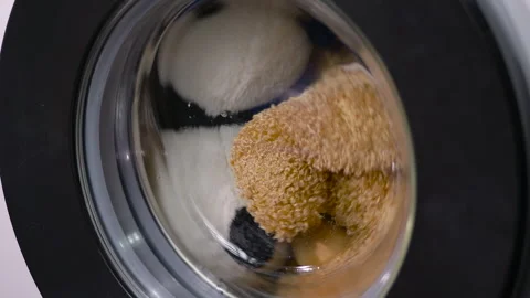 Soft toys in the laundry machine 库存影片 334580116