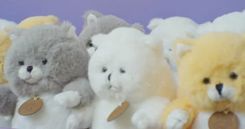 Soft toys on the shop window.close-up Stock Footage 162038108