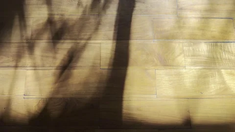 Soft Tree Shadows Moving Across Warm Wooden Parquet Floor Stock Footage 340494171