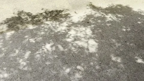 Soft Tree Shadows on Sandy Park Ground with Natural Texture Horizontal Stock Footage 340188302
