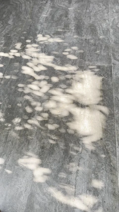 Soft Tree Shadows on Speckled Grey Textured Floor Stock Footage 346739429