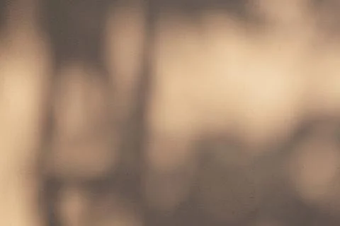 Soft Tree Shadows on Warm Beige Textured Wall Background for Aesthetic Overla Foto stock