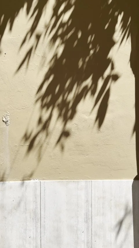 Soft Tree Shadows on Warm Stucco Wall Minimal Architectural Background Stock Footage 340453782