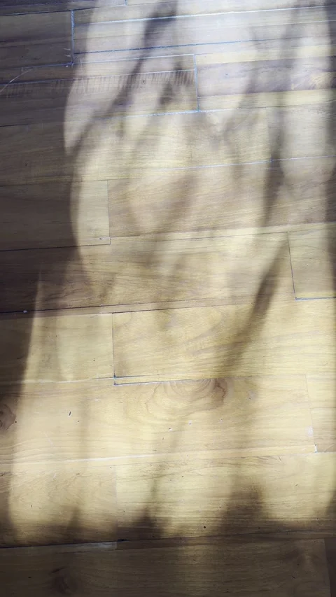 Soft Tree Shadows on Warm Wooden Parquet Floor Vertical Background Stock Footage 340494182