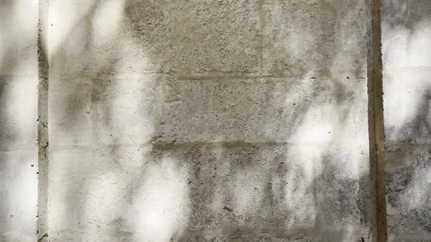 Soft Tree Shadows on Weathered Limestone Wall Abstract Background Stock Footage 339553341