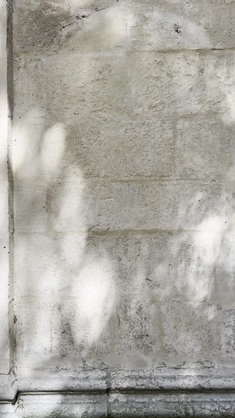 Soft Tree Shadows on Weathered Limestone Wall with Stone Base Vertical Stock Footage 339553436