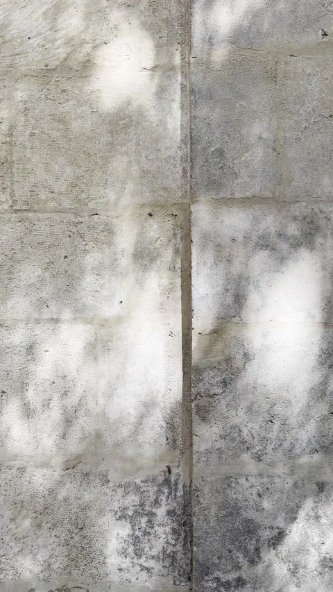 Soft Tree Shadows on Weathered Limestone Wall Close Up Vertical Stock Footage 339553774