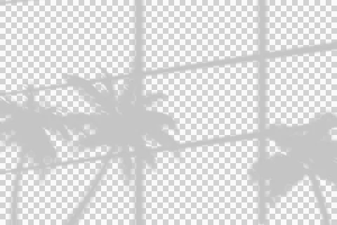 Soft tropical palm leaf shadows cast through a window grid. Stock Illustration
