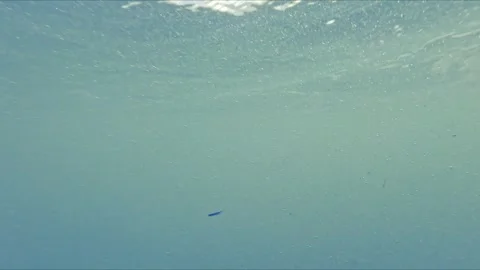 Soft underwater light with slow motion bubbles and wave action captured fro.. Stock Footage 316238249